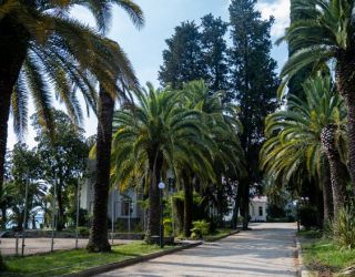 *Пансионат "Нарт" Гагра