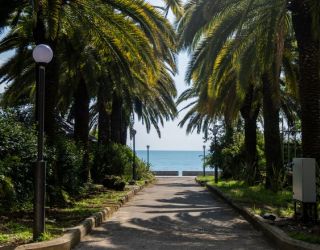 *Пансионат "Нарт" Гагра